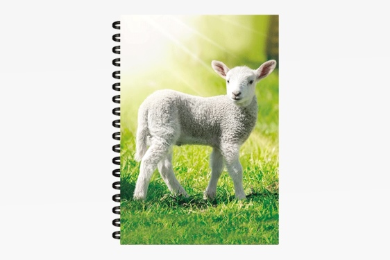 3D notebook sheep small (12)