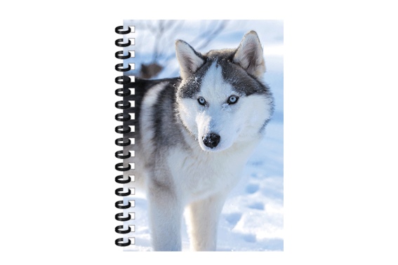 3D Notizbuch Husky klein (12)