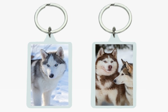3D acrylic keychain huskies (12)