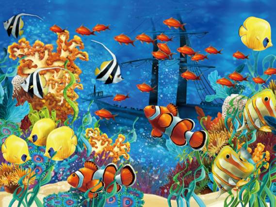 3D Platzmatte Seaworld (10)