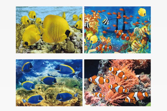 3D bookmark tropical fishes (25)