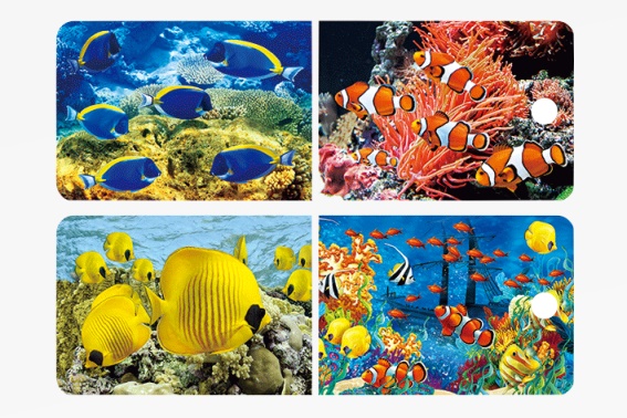 3D Lesezeichen tropische Fische (25)