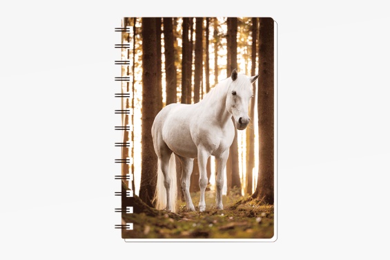 3D notebook white horse small (12)