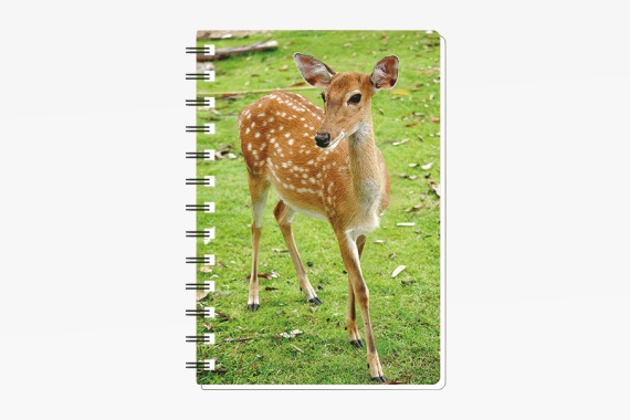 3D notebook fawn small (12)