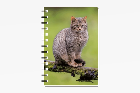 3D Notizbuch Wildkatze klein (12)