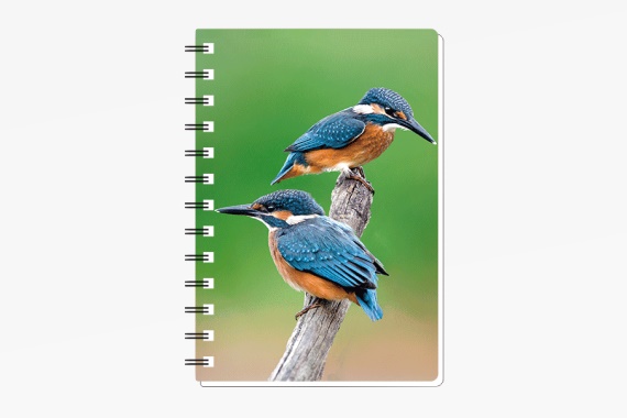 3D notebook kingfisher small (12)