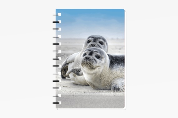 3D Notizbuch Robben klein (12)