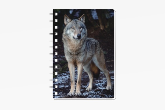 3D notebook wolf small (12)