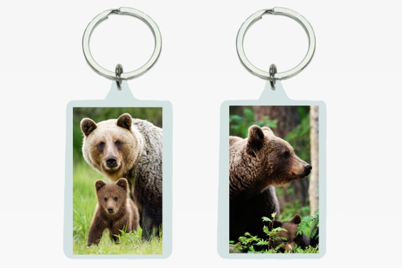 3D acrylic keychain brown bears (12)