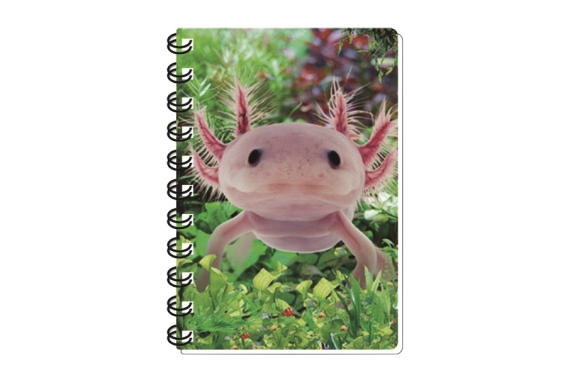 3D notebook axolotl small (12)