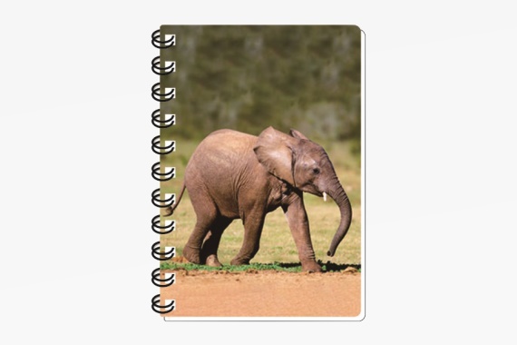 3D notebook baby elephant small (12)