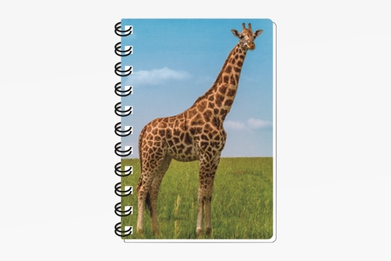 3D notebook giraffe small (12)