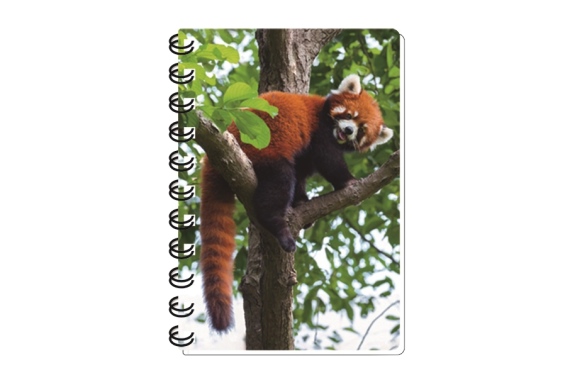 3D notebook red panda small (12)