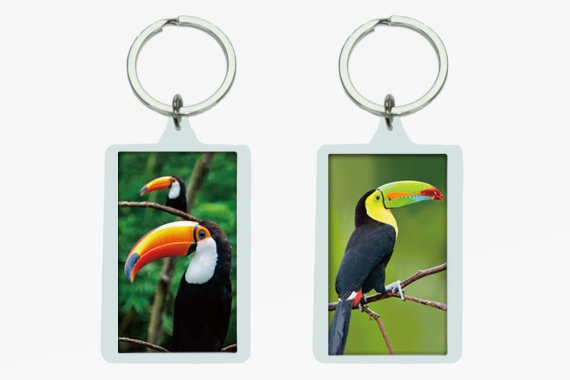 3D acrylic keychain toucan (12)