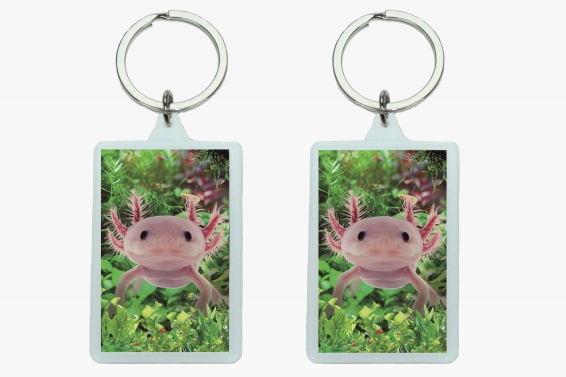 3D acrylic keychain axolotl (12)