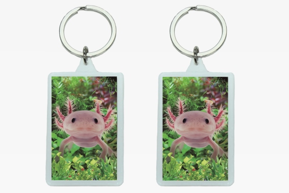 3D Acryl Anhänger Axolotl (12)
