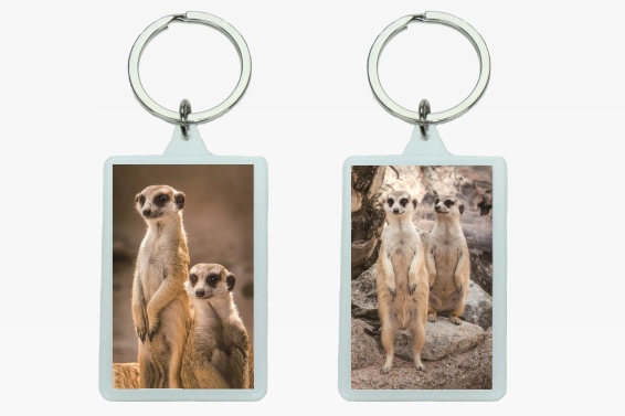 3D acrylic keychain meerkats (12)