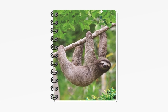 3D notebook sloth small (12)