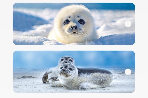 3D bookmark seals  (25)