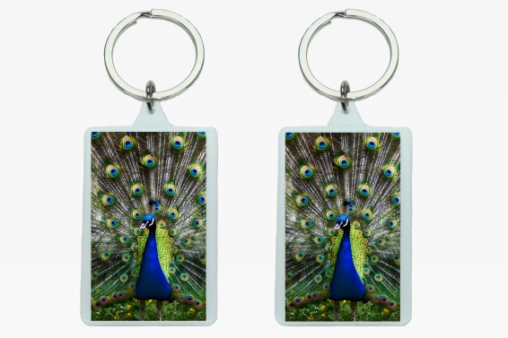 3D acrylic keychain peacock (12)