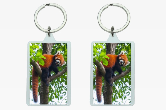 3D acrylic keychain red panda (12)
