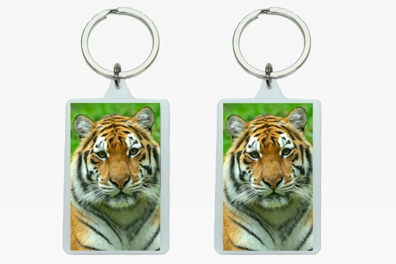 3D acrylic keychain tiger (12)