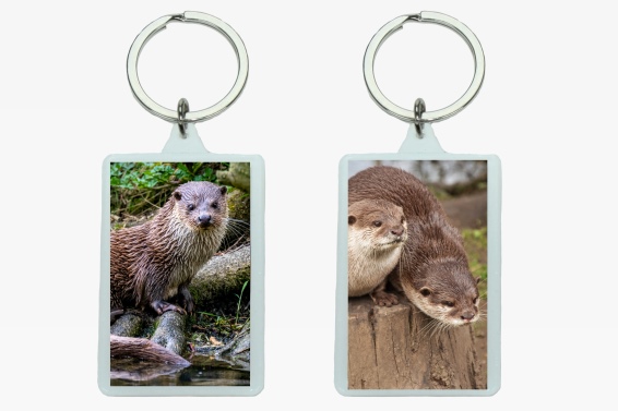 3D acrylic keychain otter (12)
