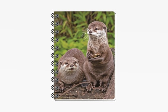 3D notebook otters small (12)