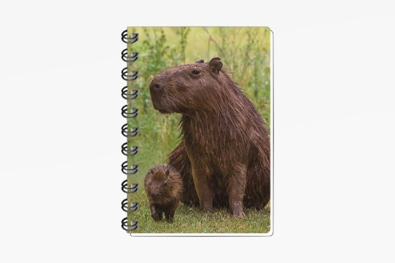 3D notebook capybaras small (12)