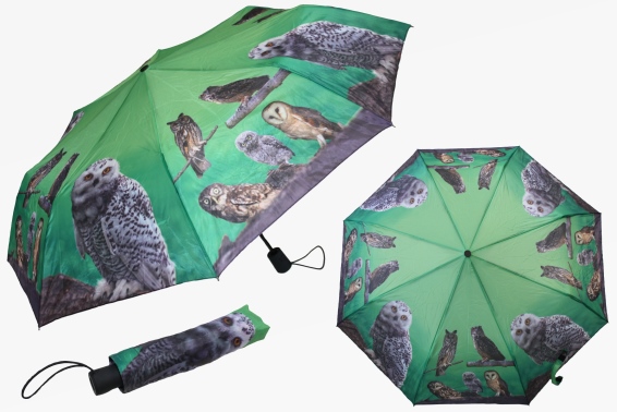 Pocket umbrella owls length 29 cm (12)