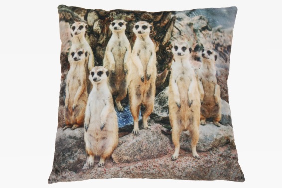 Plush cushion meerkats design (3)
