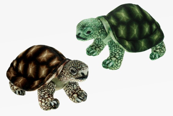Plush tortoise 2 assorted l 20 cm (6)