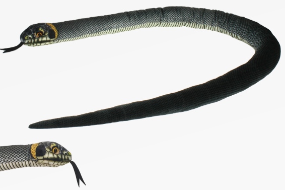 Plush European grass snake l 150 cm (6)