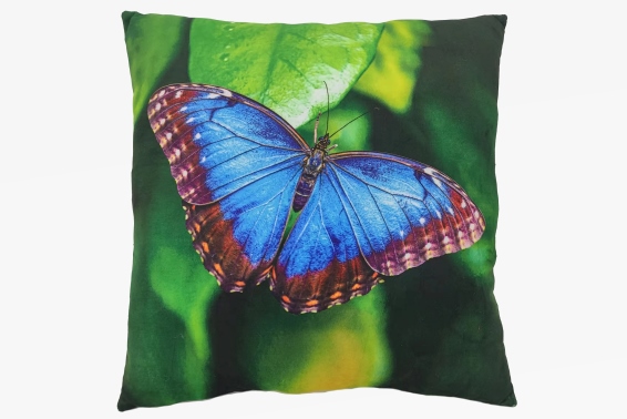 Plush cushion common morpho design