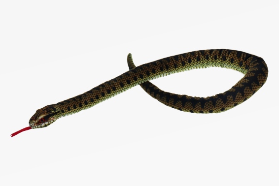 Plush European viper length 100 cm (6)