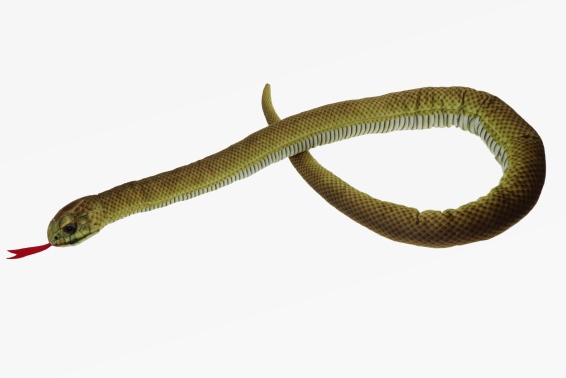 Plush Aesculapian snake l 100 cm (6)