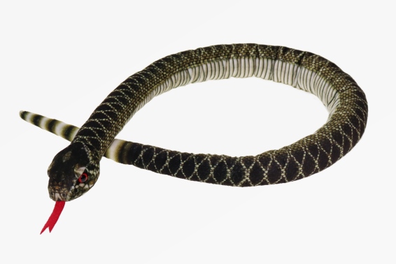 Plush rattlesnake length 100 cm (6)