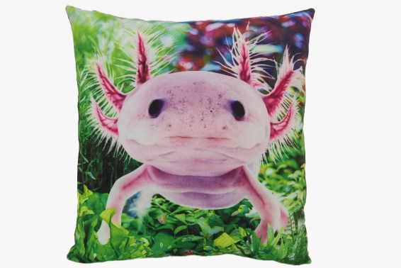 Plush cushion axolotl design (3)