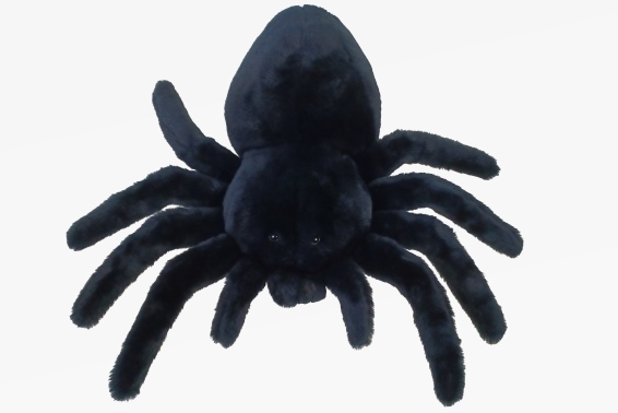 Plush tarantula length 40 cm (6)