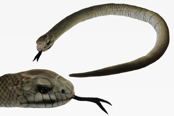 Plüsch Schwarze Mamba L 150 cm (6)