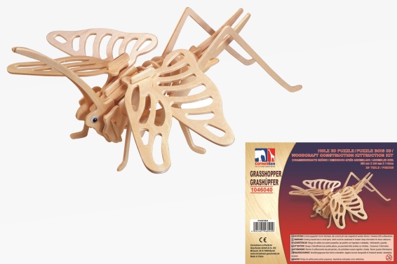 3D wooden puzzle grasshopper (12)
