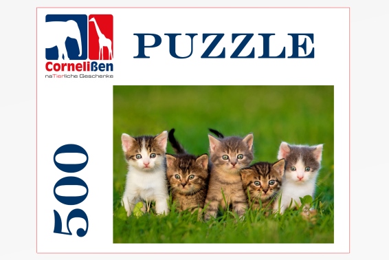Puzzle kittens 500 pieces (6)