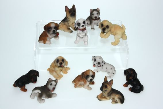 Poly dog 12 assorted h 4 to 5 cm (12)
