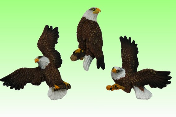 Poly magnet bald eagle 3 assorted (12)