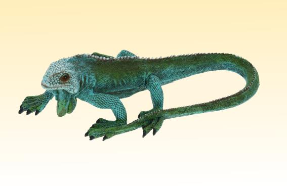 Poly lizard length 24 cm (1)