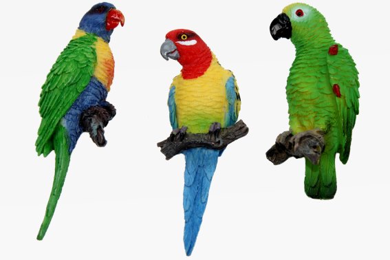 Poly magnet parrot 3 assorted (12)