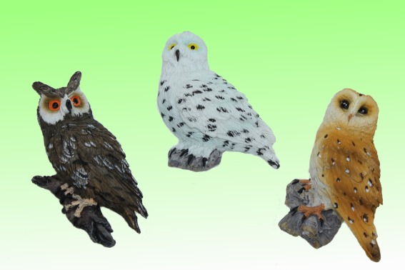 Poly magnet owl 3 assorted (12)