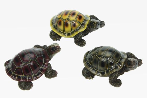 Poly tortoise 3 assorted length 9 cm (6)