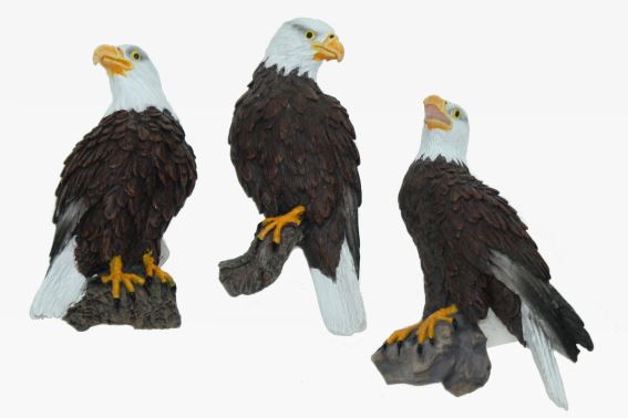 Poly magnet bald eagle 3 assorted (12)