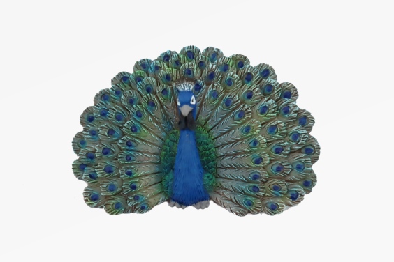 Poly magnet peacock length 7 cm (12)
